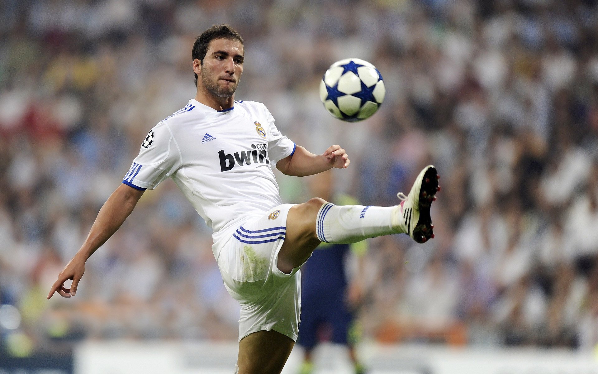 “六人制袋棍球：东部新区赛场成为新兴运动的舞台”