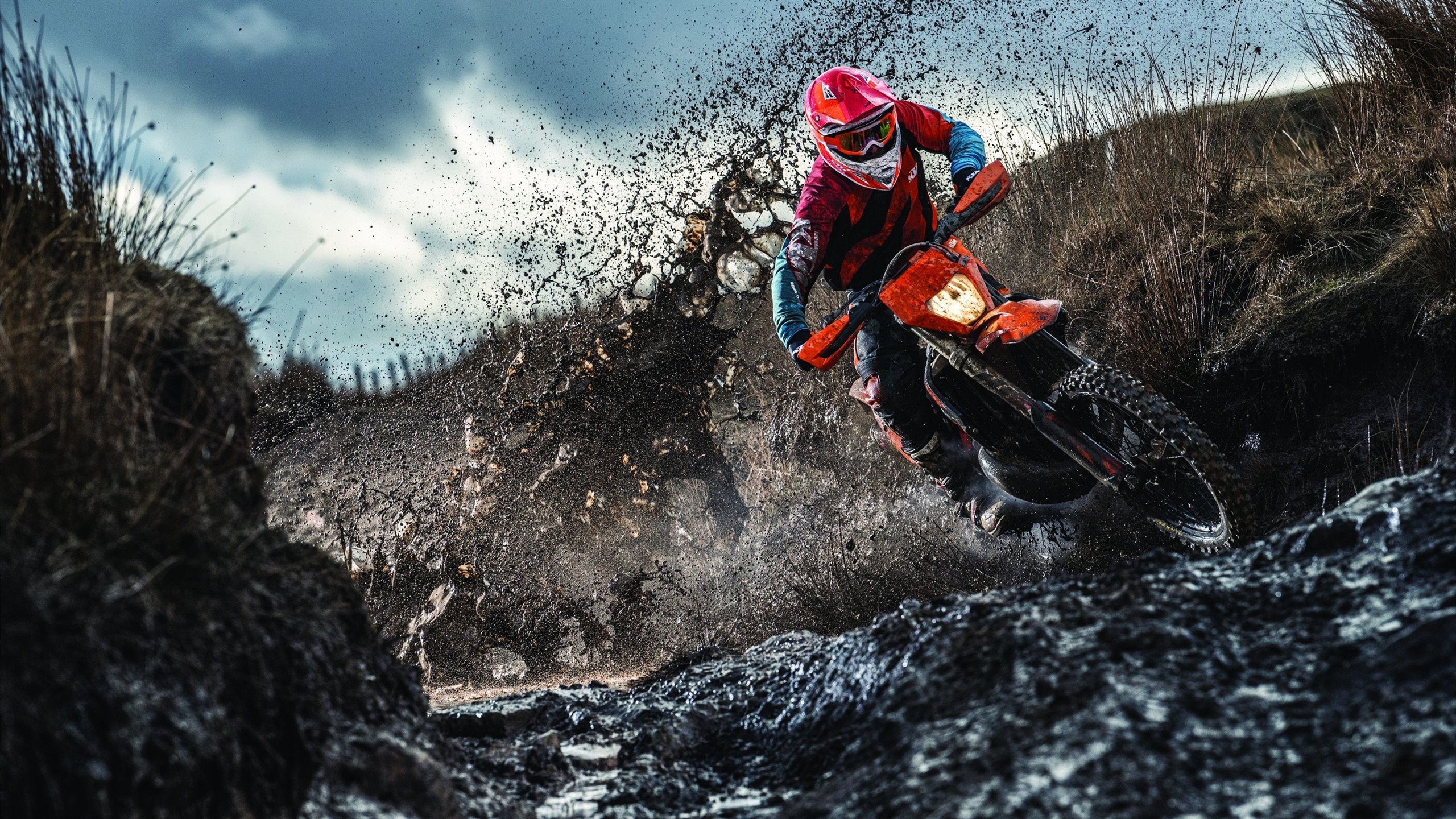 “南非羚羊队的得分利器:诺克·达维德·彼得森”