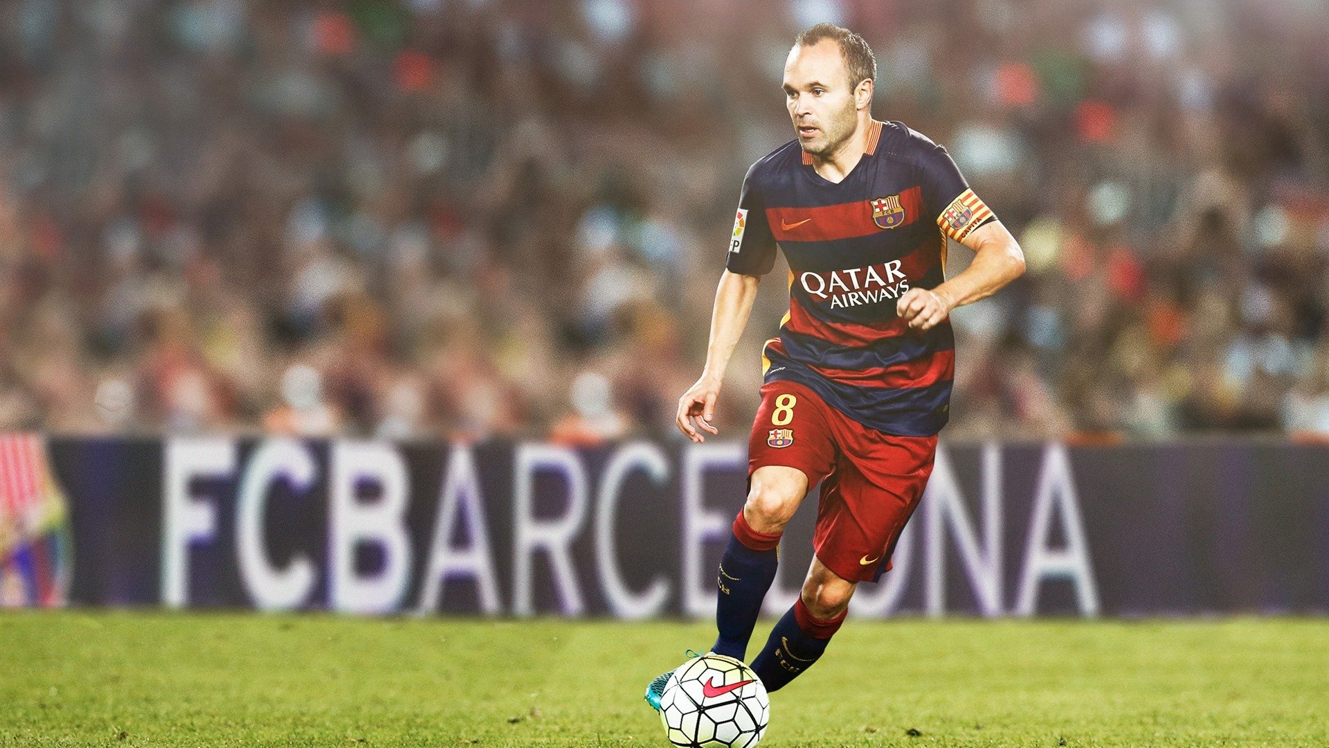 “南非羚羊队的得分利器:诺克·达维德·彼得森”